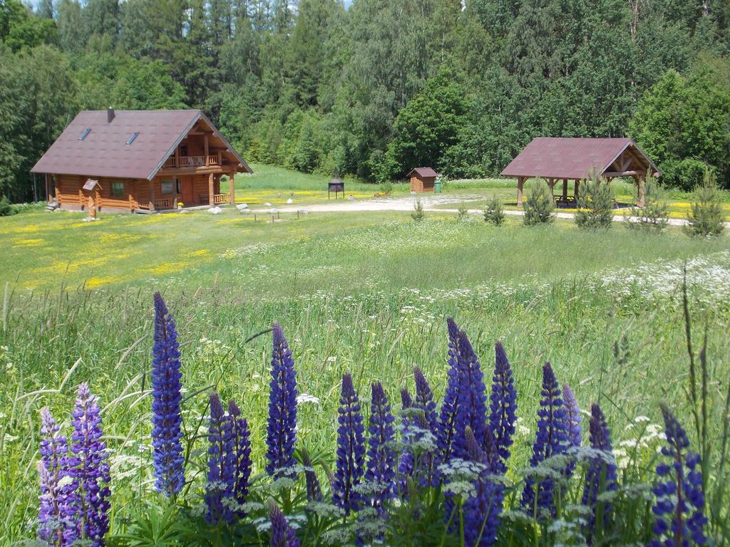 Guest House Kalnini Карли Экстерьер фото