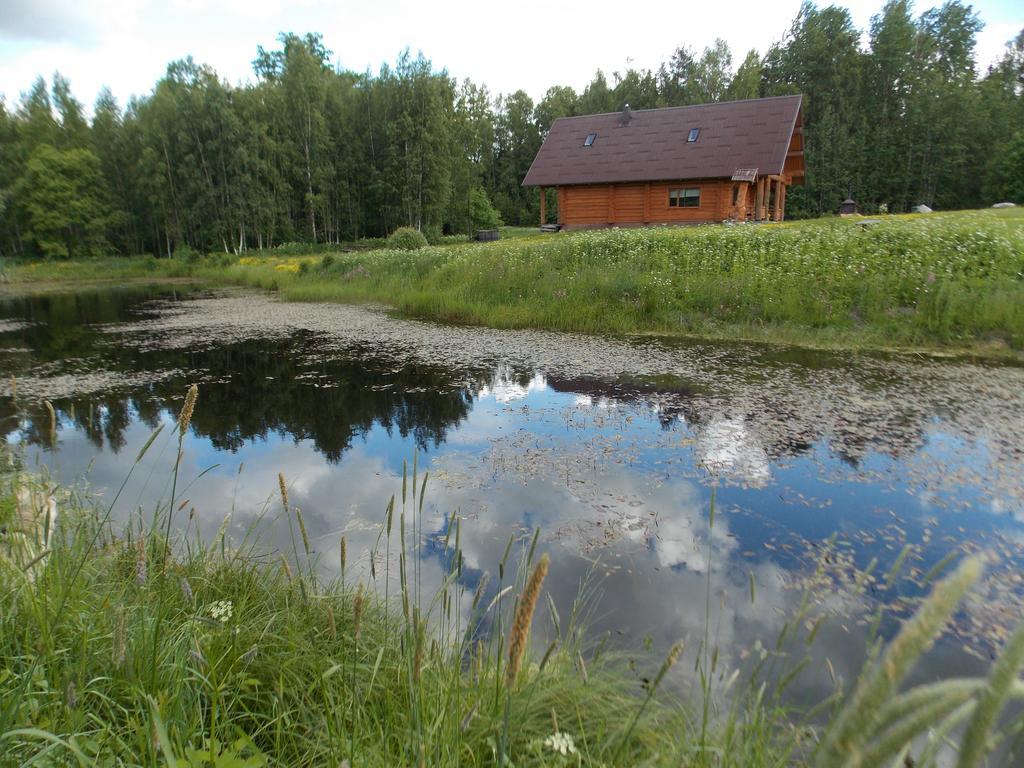 Guest House Kalnini Карли Экстерьер фото